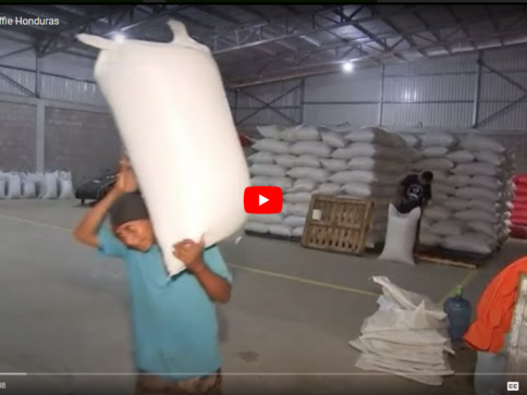 video klimaatbeleid