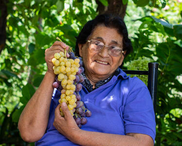 Woman working at La Riojana showing the harvested grapes.