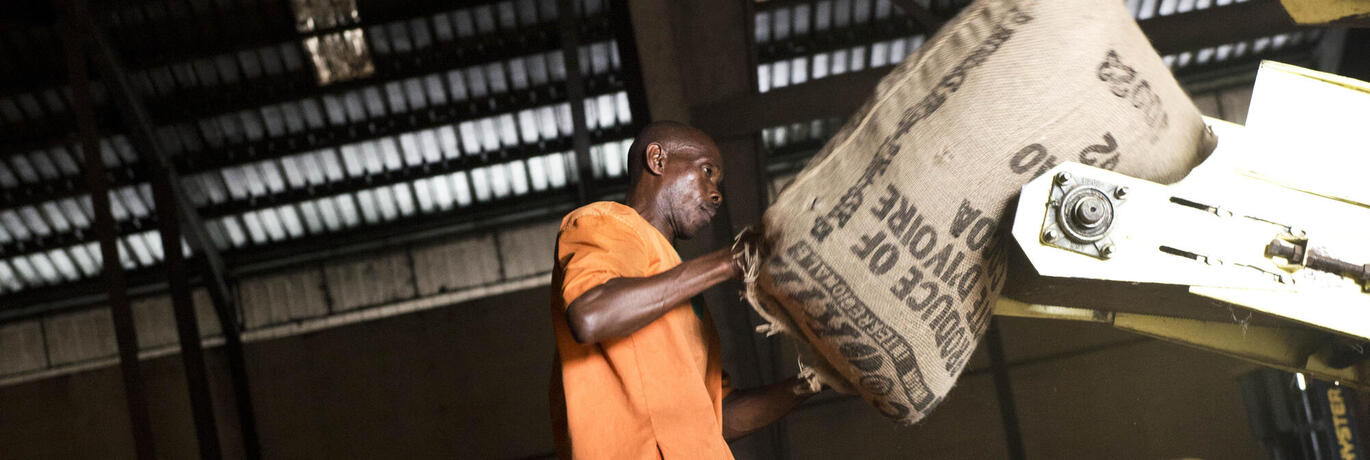 Medewerker cacaocoöperatie Ecookim in Ivoorkust laadt container in