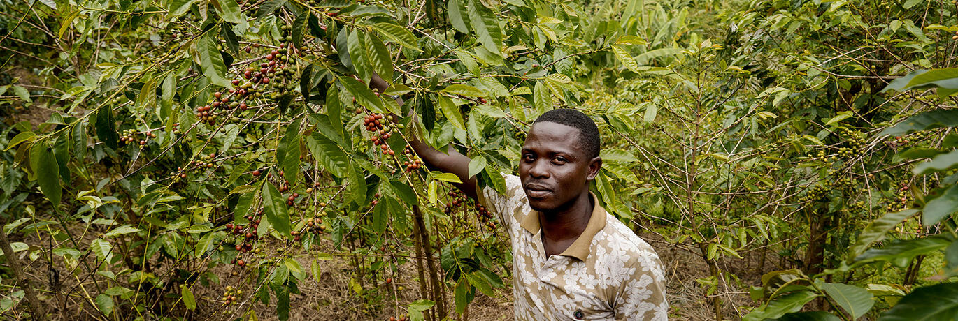koffieboer op veld Congo