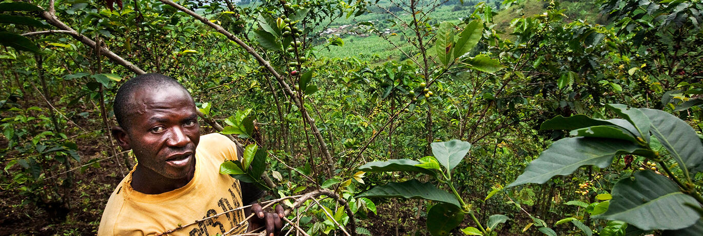 Oxfam-koffie Kivu
