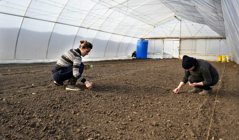 Two women are sowing seeds in a greenhouse in Odessa (Ukraine).