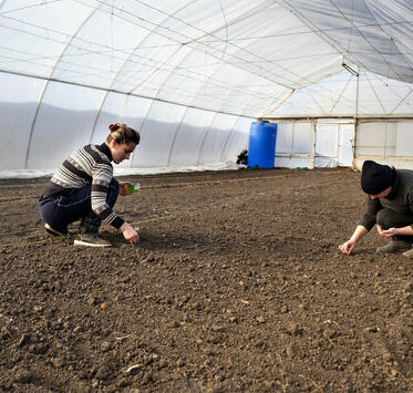 Two women are sowing seeds in a greenhouse in Odessa (Ukraine).
