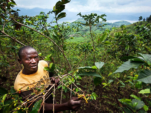 Oxfam-koffie Kivu