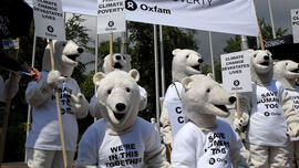 Ijsberen van Oxfam