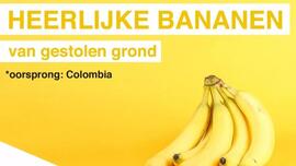 Heerlijke bananen van gestolen grond