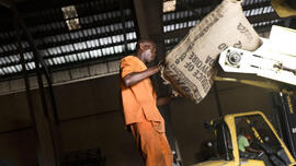 Medewerker cacaocoöperatie Ecookim in Ivoorkust laadt container in