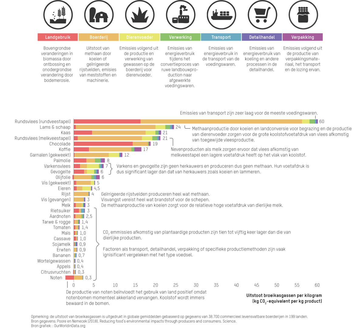 food_impact