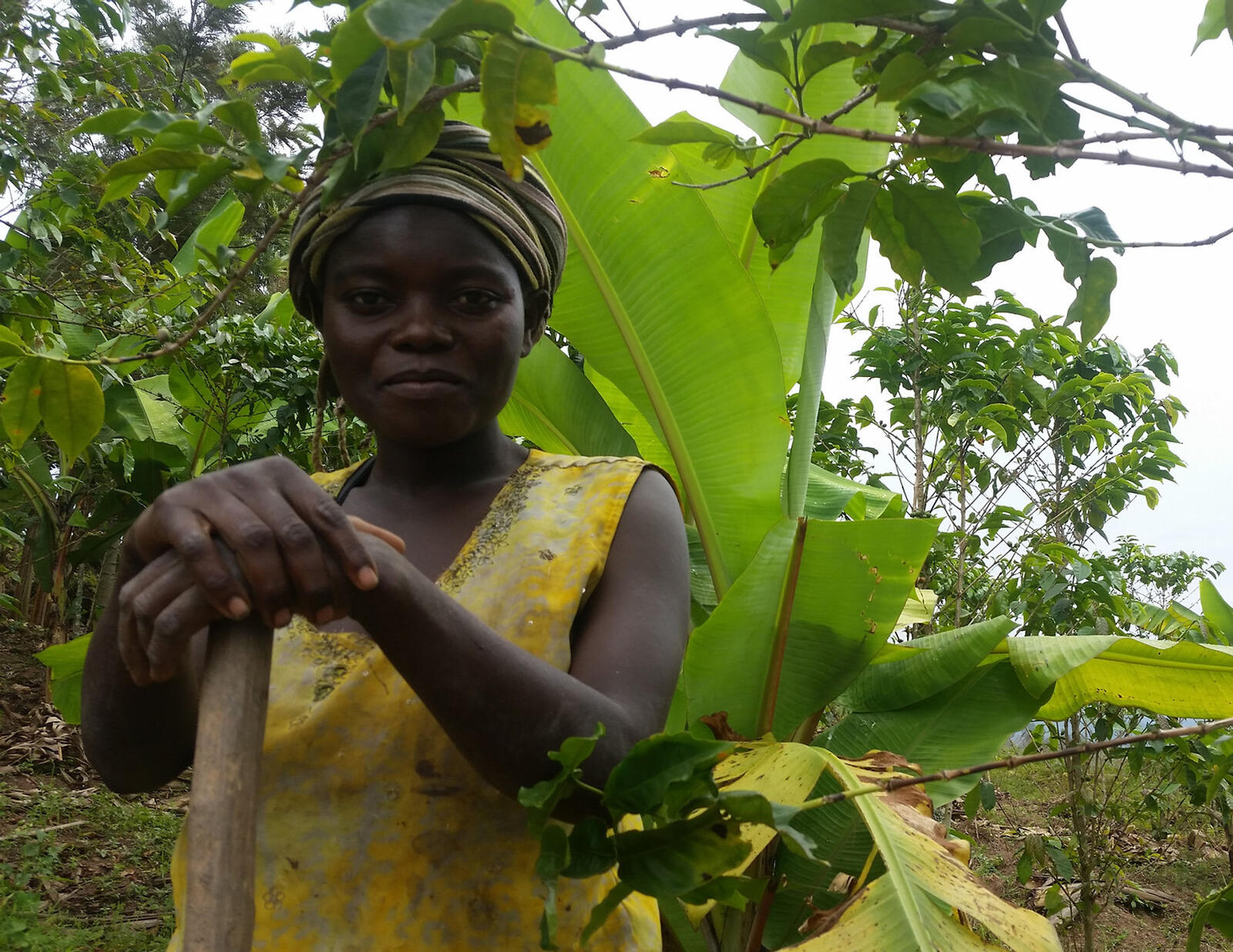 Vrouw staat op een koffieplantage in Congo